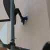 Satelitte dish fitting plate